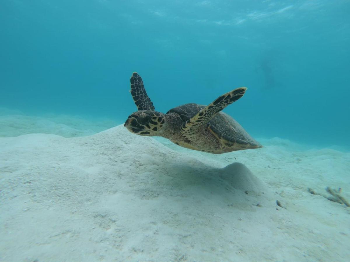Hotel Water Seven Maafushi Kültér fotó